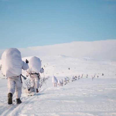 Distant Early Warning – The Unknown Future of the Arctic