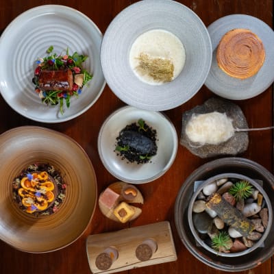 Eight-Course Tasting Journey