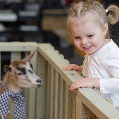 Majo's Little Farm at Easter
