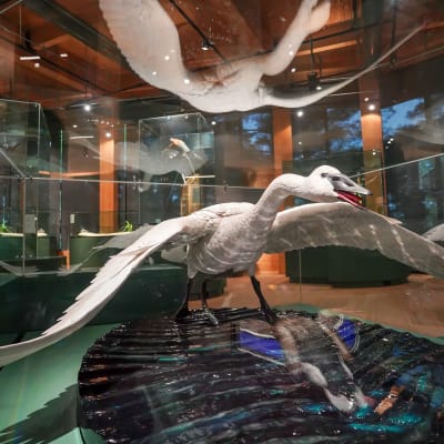 Exposition « Entre Ciel et Terre »