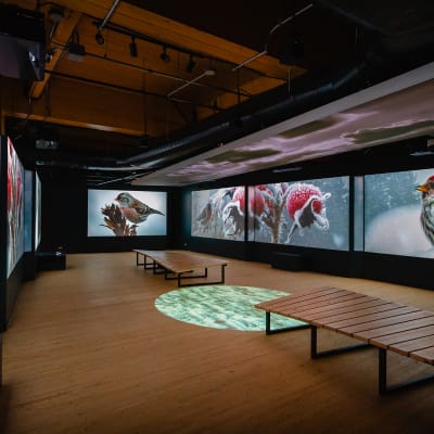 Bilingual exhibition "Momenti"