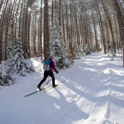Marathon Canadien de Ski