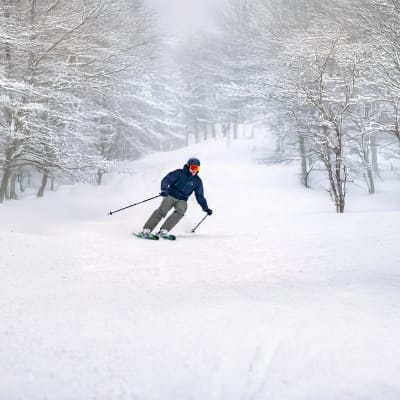 Mont Rigaud - Ski Resort