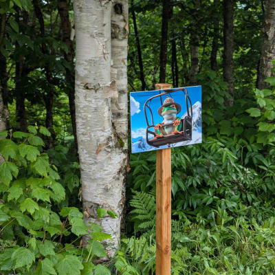 Cherche et Trouve Nature 