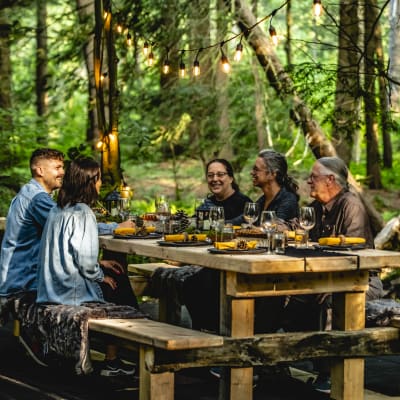 Table in the forest