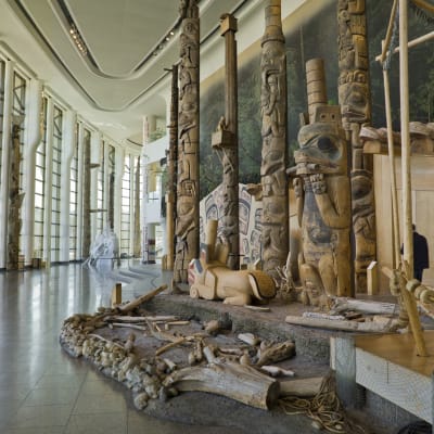Visite de la Grande Galerie