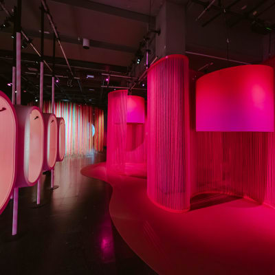 Exposition Plaisirs