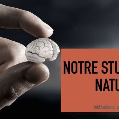 Notre stupidité naturelle – La science face à nos cerveaux rebelles