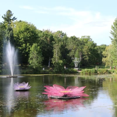 Science walk at Domaine-Howard