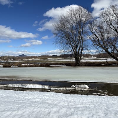 A Spring Perspective – Nature Photography Workshop