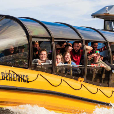 Fjord and Whale Watching Cruise