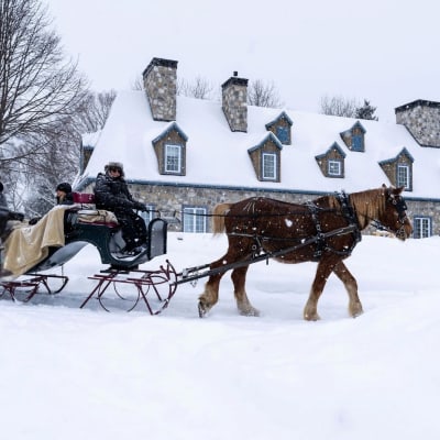 Perfect Romance - Le Baluchon Éco-villégiature