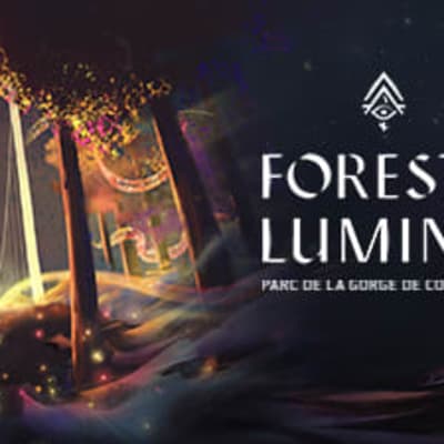 Foresta Lumina Package