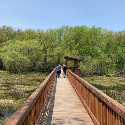 Hiking on footbridges