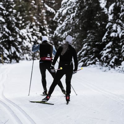 Parc linéaire Le P'tit Train du Nord