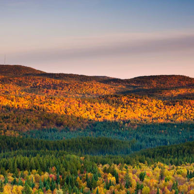 Parc national d’Aiguebelle