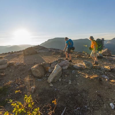 Randonnée pédestre