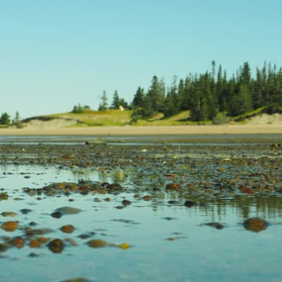 À l’assaut des battures