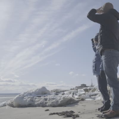 Pointe-aux-Outardes Nature Park