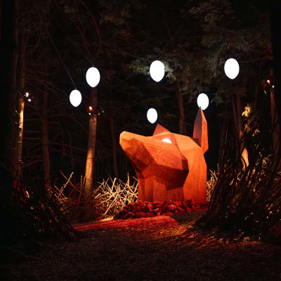 Light up the summer