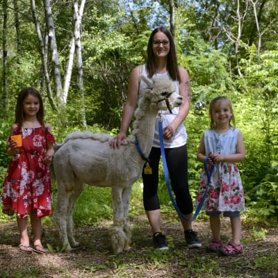 Guided tour of the farm
