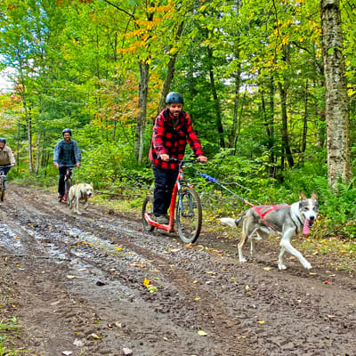 Au Chalet en Bois Rond