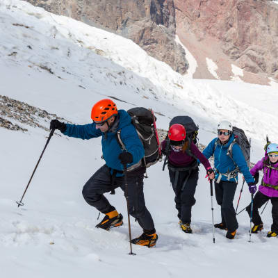 La Liberté Nord-Sud
