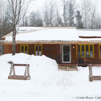 Le Bistreau d'Érable