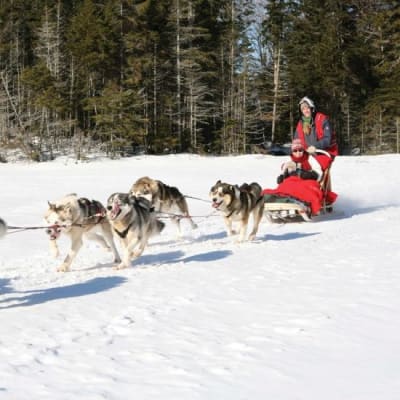 Tremblant Activity Centre