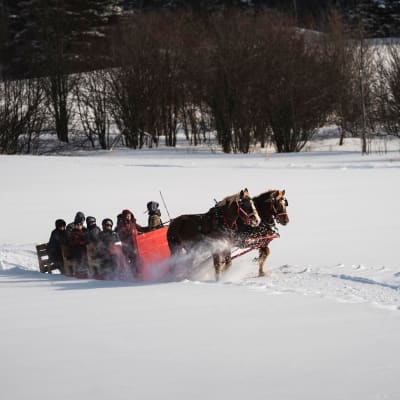 Les montagnards de Charlevoix