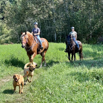Les montagnards de Charlevoix