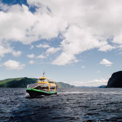 The Majestic Cruise