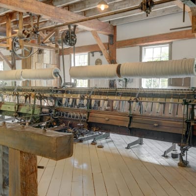 Guided tour - Wonders in motion