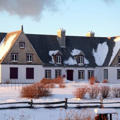 Museum of Living Memory