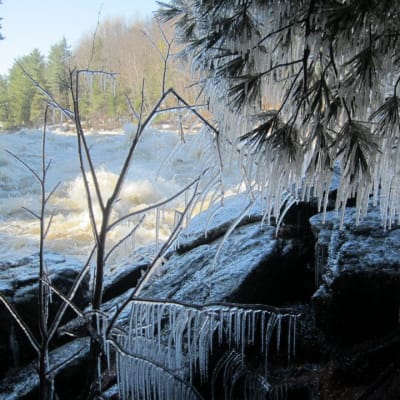 Parc de la rivière Batiscan