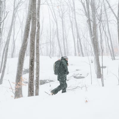 Parc des Sommets – hiking and mountain bike