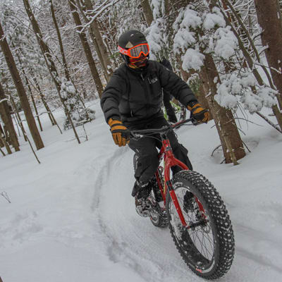 Parc du Domaine Vert