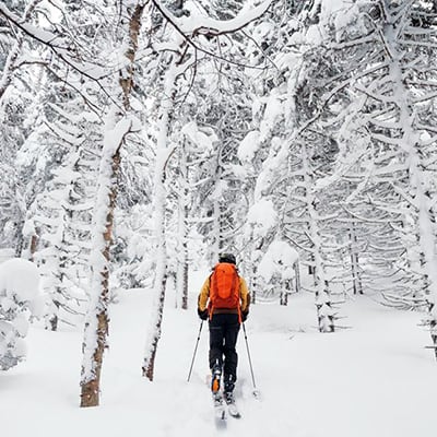 Parc du Massif du Sud