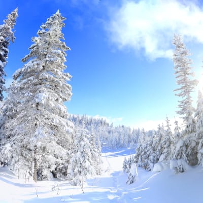 Parc national des Monts-Valin