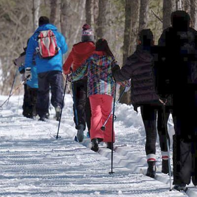 Les Forestiers-de-Saint-Lazare nature park