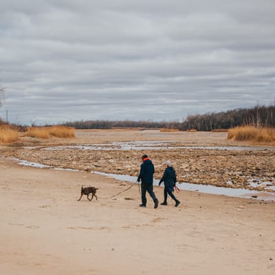 Beach at Parc régional des Îles-de-Saint-Timothée