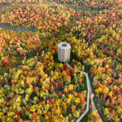 Sentier des cimes Laurentides
