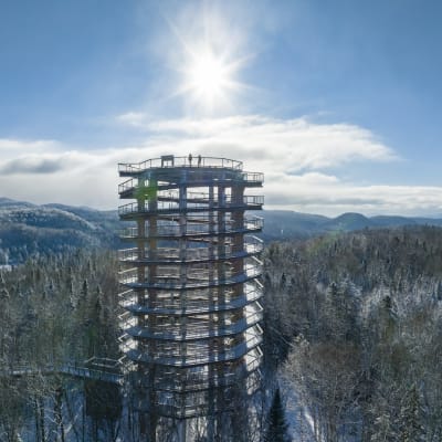Sentier des cimes Laurentides