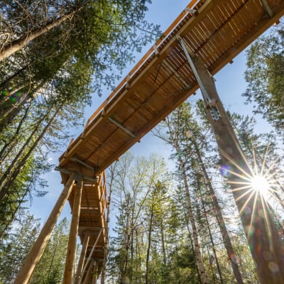 Sentier des cimes Laurentides