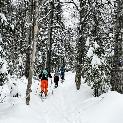 Ski de fond au Mont Grand-Fonds