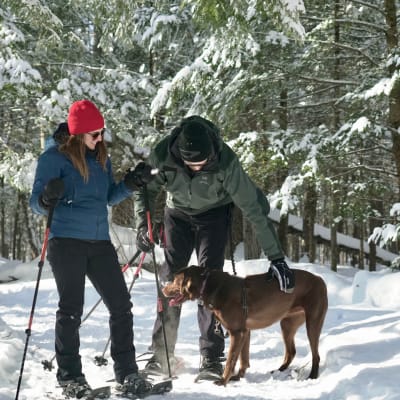 Région de L’Érable – Du pur bonheur