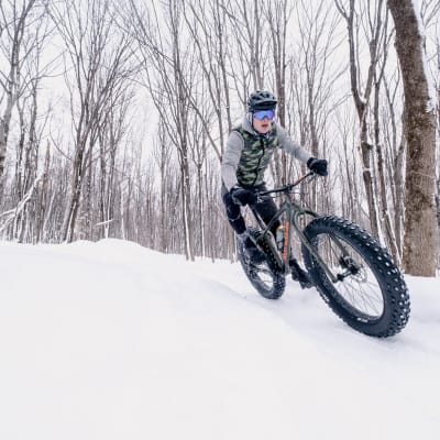 Lévis: The Hidden Gem You’ve Been Searching For!