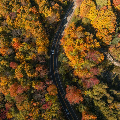 Memphrémagog, en tout temps