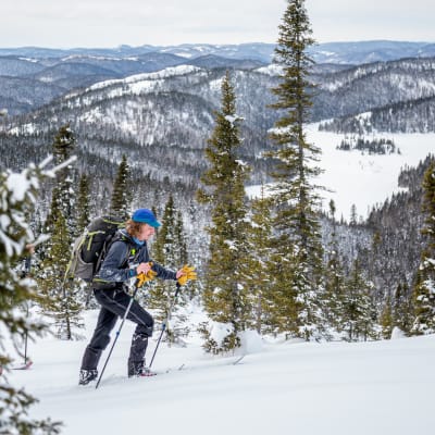 Saguenay–Lac-Saint-Jean Region