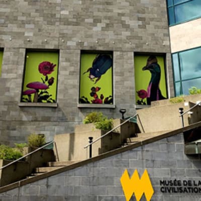 Visit of the museum